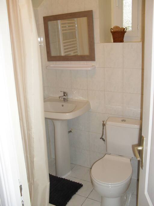 Petit salle de bain équipée avec douche et toilettes.