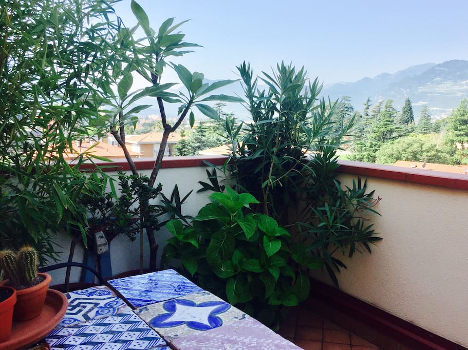 Panoramic terrace for breakfast or solarium; sharing
