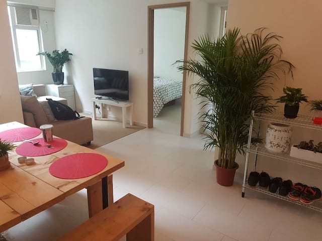 Fully furnished apartment - Man Mo Temple