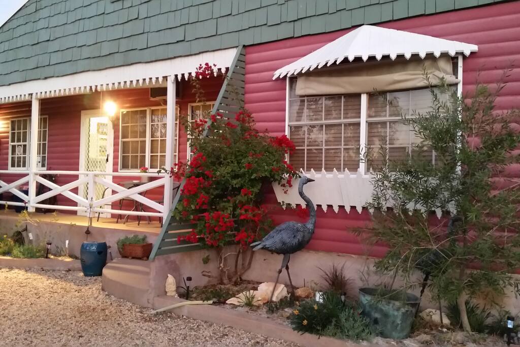 Emus in front garden