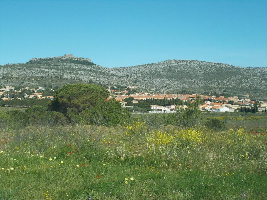 Vue sur le village et le château