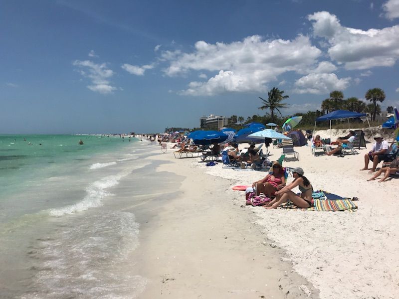 A sandy beach stretches along the shoreline, featuring umbrellas and beach chairs scattered across the sand. Sunbathers are seen relaxing on colorful towels, with gentle waves lapping at the shore. The scene is framed by palm trees and a clear blue sky with scattered clouds.