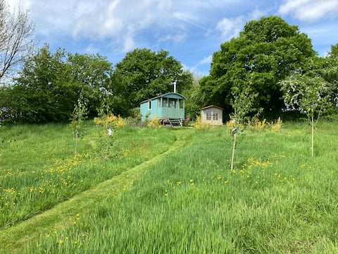 Top performing Airbnb: Shepherd's View. “A chance to relax" North Devon in North Devon