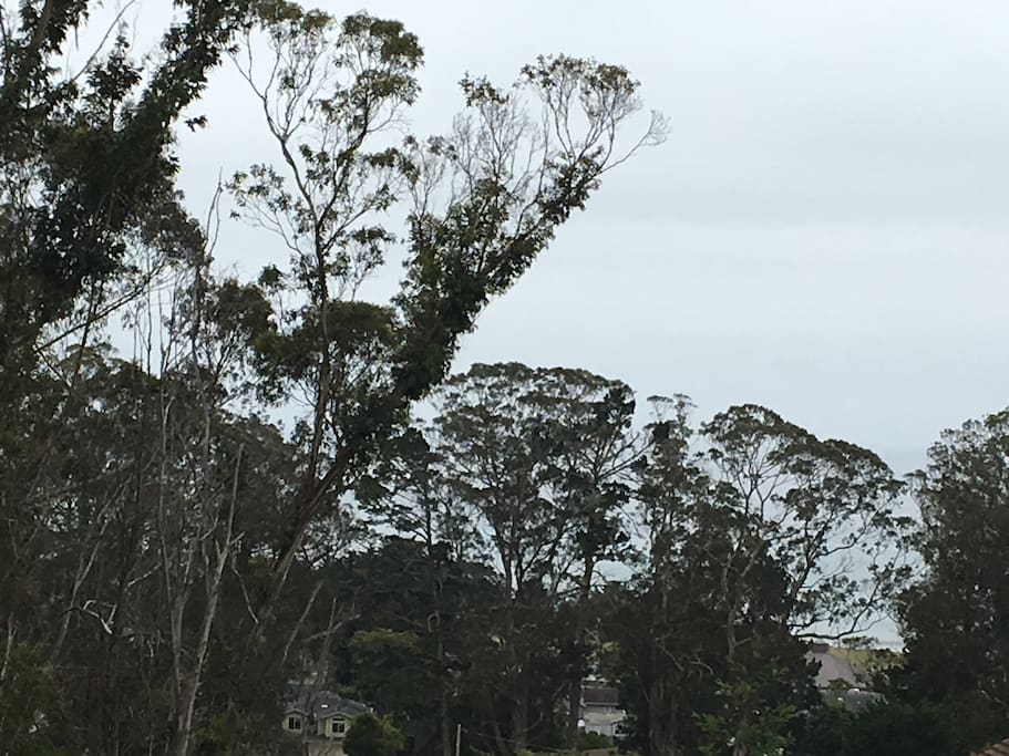 Ocean view from upper and lower deck