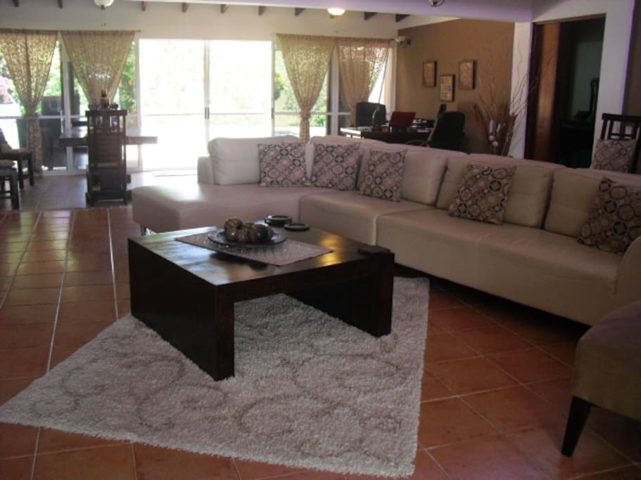 Living Room, sofa seats 8