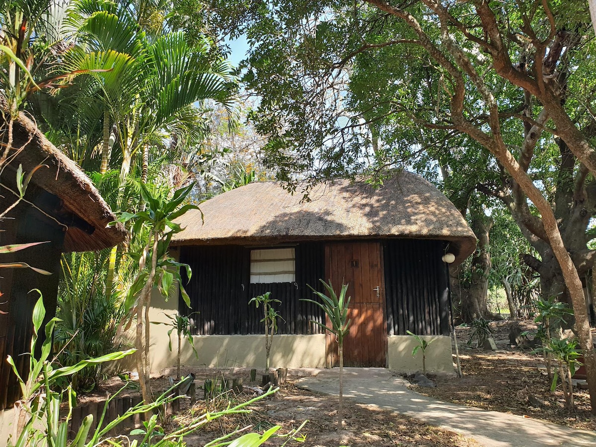 A rustic cabin is nestled under tall trees, featuring a thatched roof and a wooden door. The surrounding area is adorned with lush greenery, enhancing the natural setting. A pathway leads to the entrance, with a mixture of tropical plants nearby.