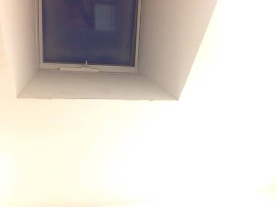 A skylight ceiling will be included in order to allow the natural light and have a view of the sky.