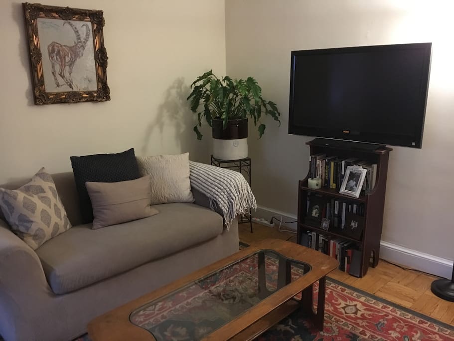 You can connect your Apple laptop to the TV to watch your favorite shows or movies. I get some basic channels via an antenna, too.