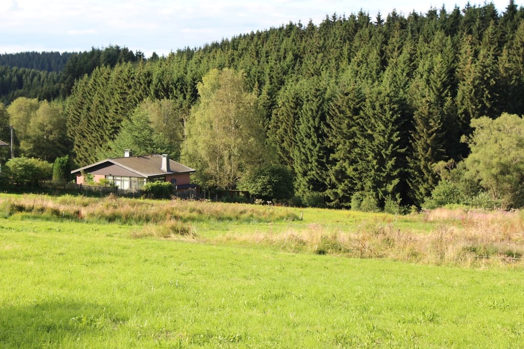 NATURA 2000 protected area....no agriculture, no constructions.