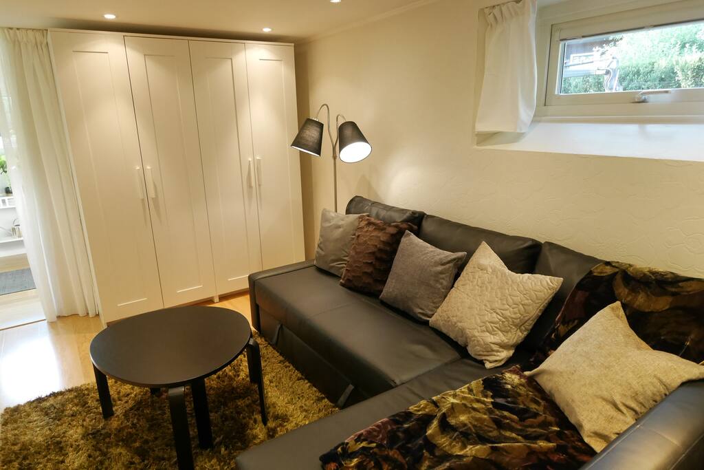 Livingroom. Double bedsofa if needed
