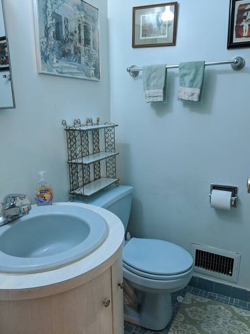 Private en suite bathroom (master bedroom).