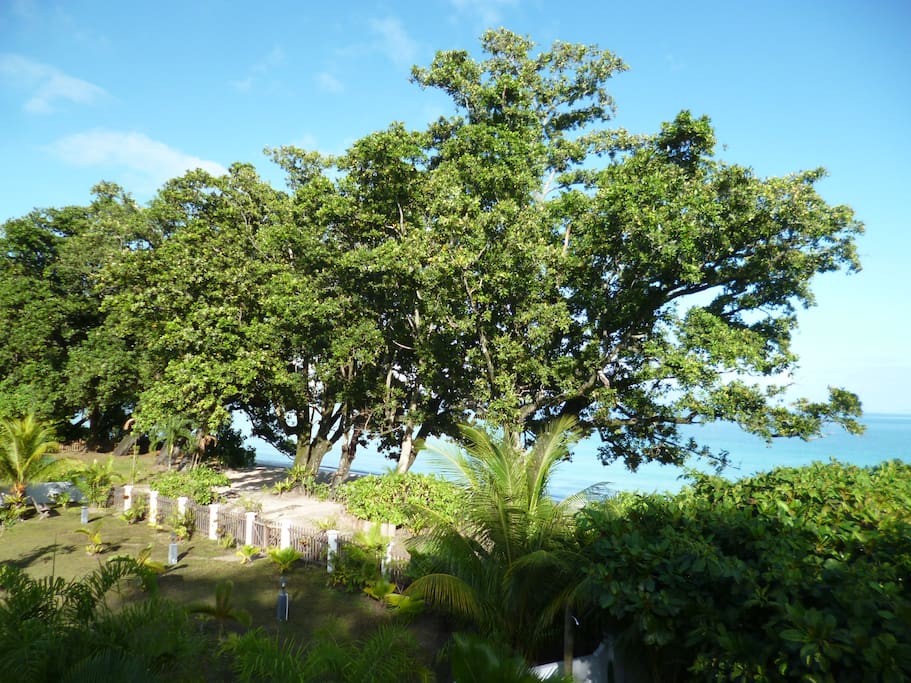 View from Villa Mimi