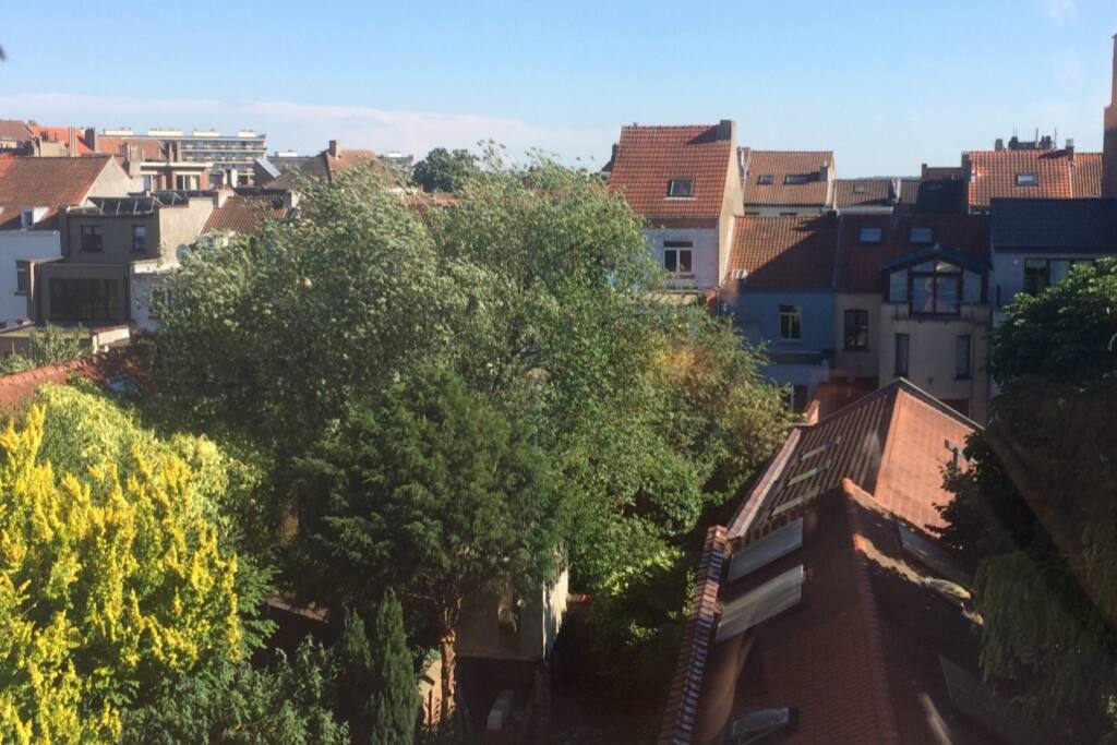 view from the bedroom