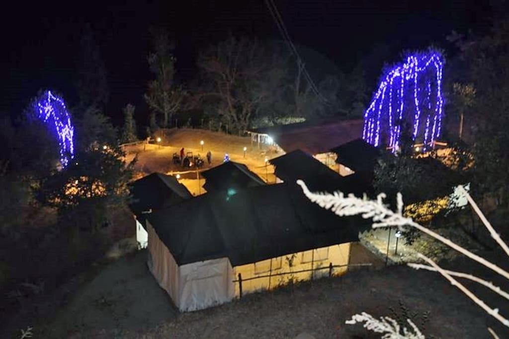 Night View