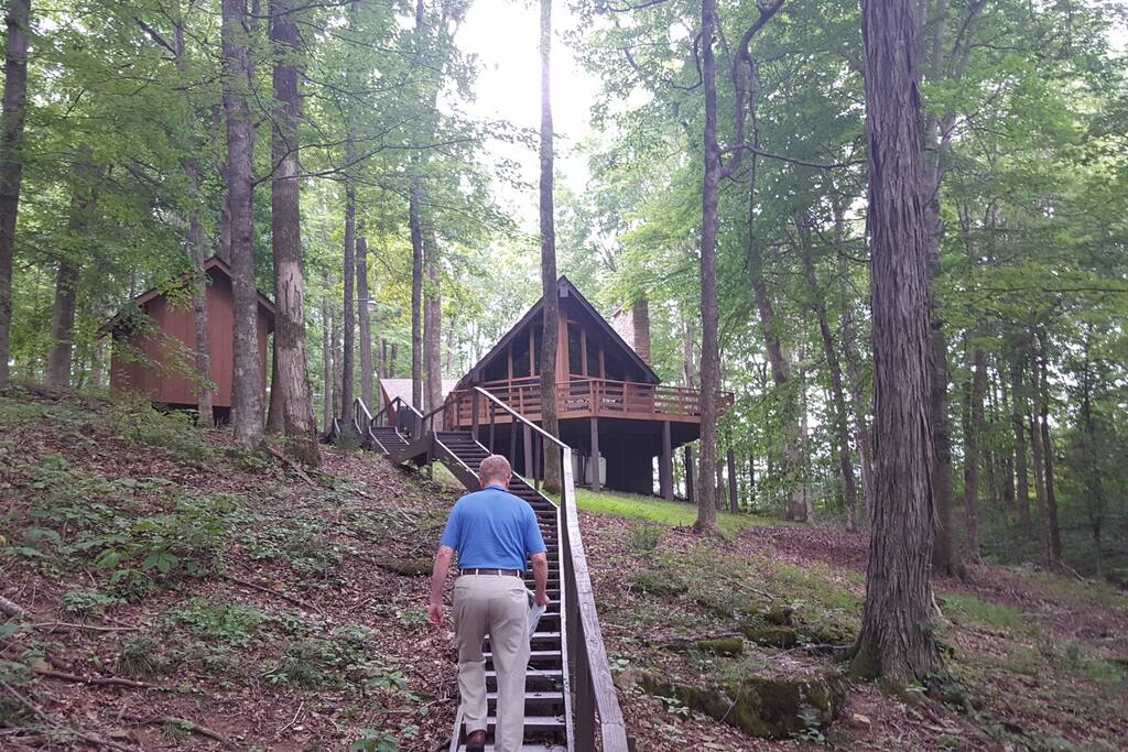 View toward the cabin, from the lake