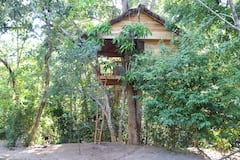 Tree+House+-+Midigama