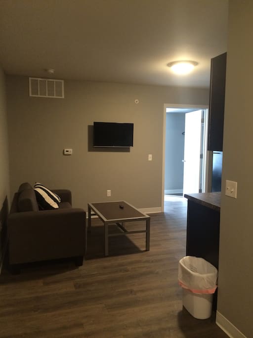 Modern furniture with a smart TV equipped with Netflix