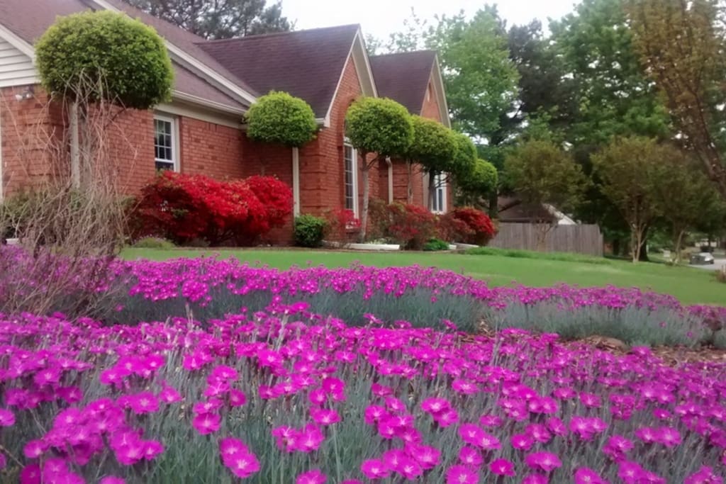 Front yard and entrance.