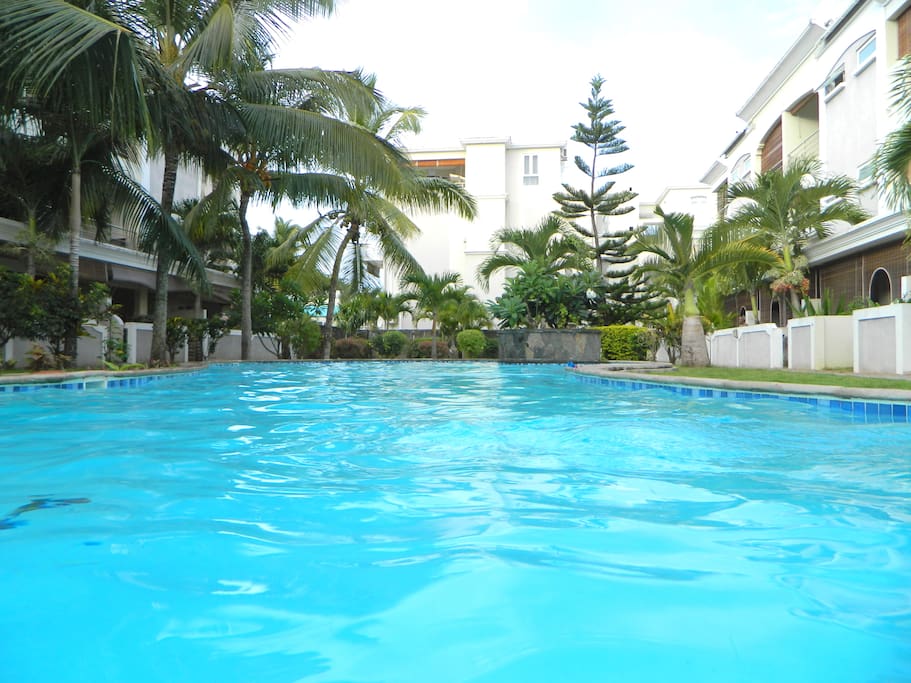 Swimming Pool / Piscine