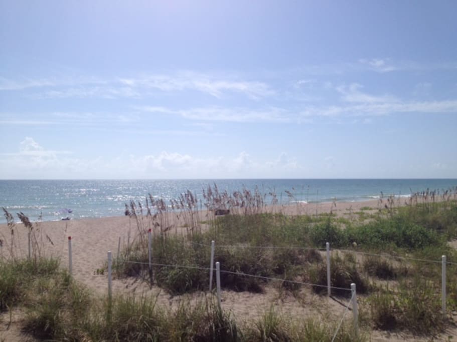 the great Atlantic and the beautiful beach of Hutchinson Island.