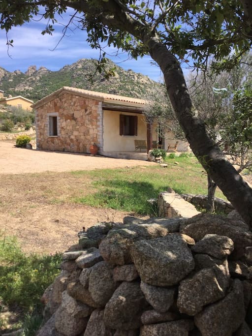 la nostra casa immersa nel verde