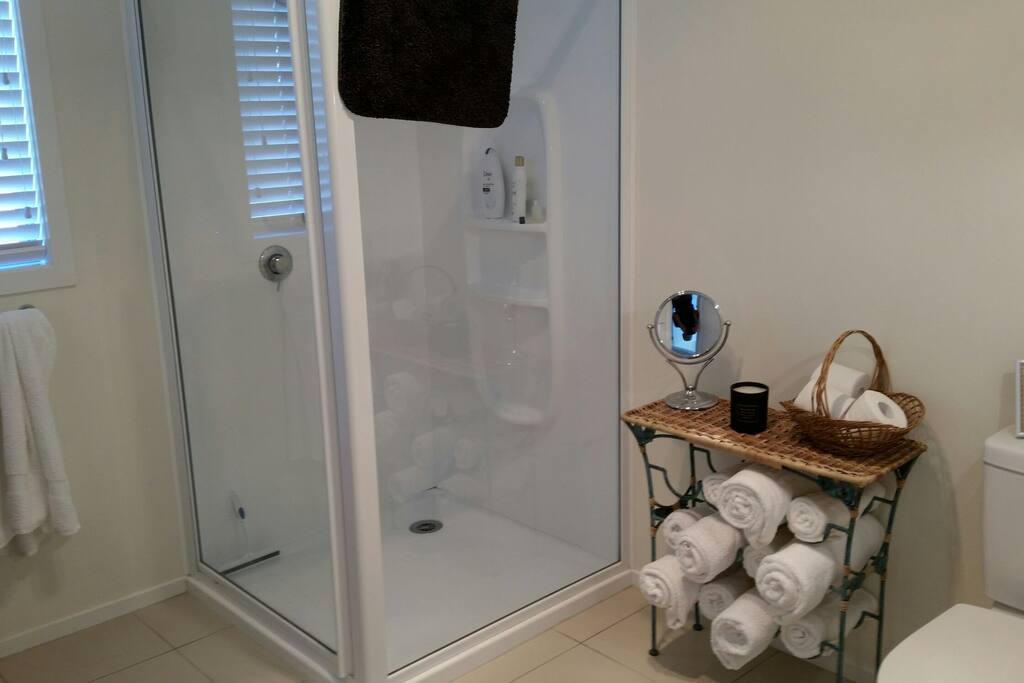your bathroom with shower