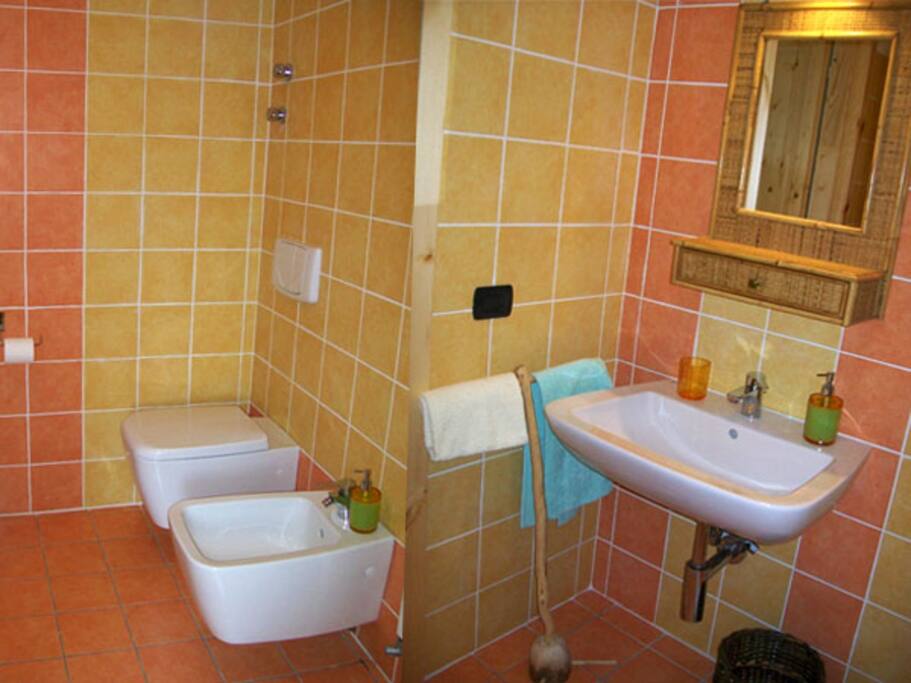 Bagno con doccia ensuite