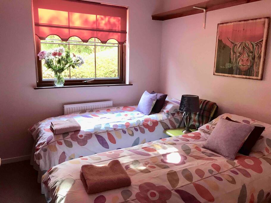 This is the second bedroom with two single beds and lots of cupboard space and a trouser press. There is an extra fold down single bed store in the cupboard if needed.