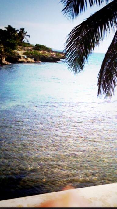 Back yard (beach)