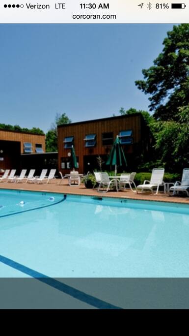 Olympic Sizd Pool