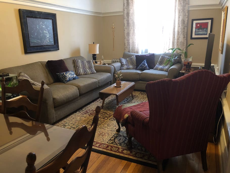 Another view of the living room. The couches and pillow are down-filled.