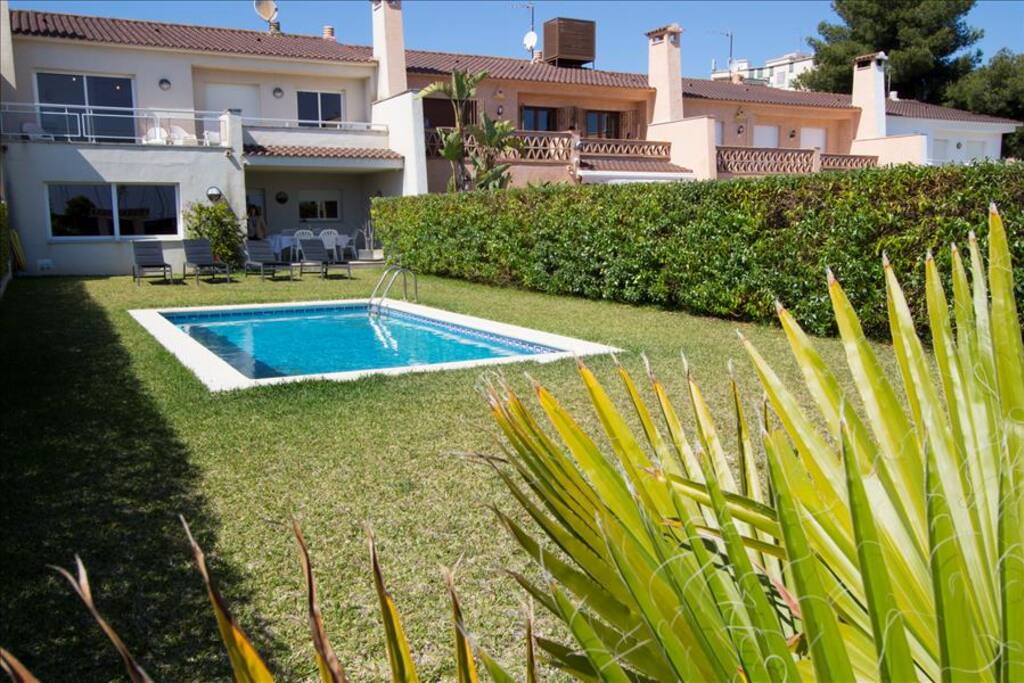 Swimming pool and garden