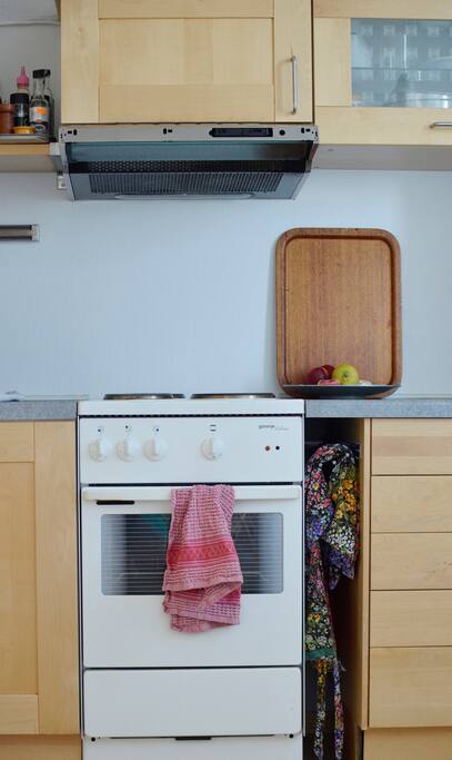 kitchen: stove, fridge, sink