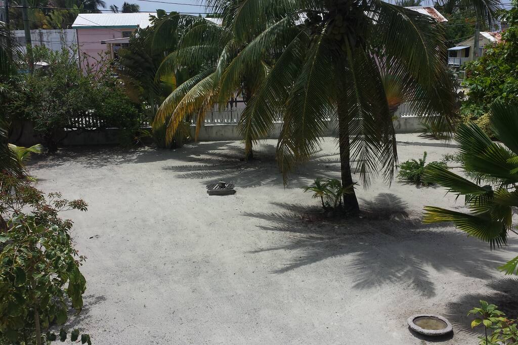 part of the yard in front