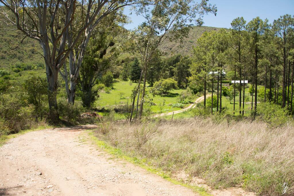 Caminata a la pileta y al pinar