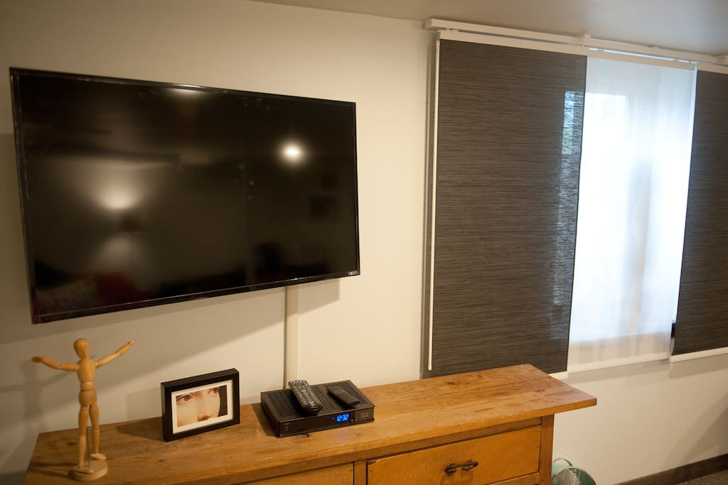 42" Flat Screen on mobile bracket