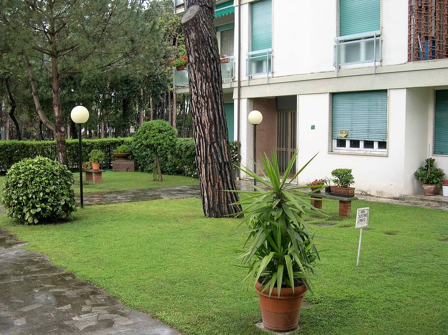 Dettaglio giardino
