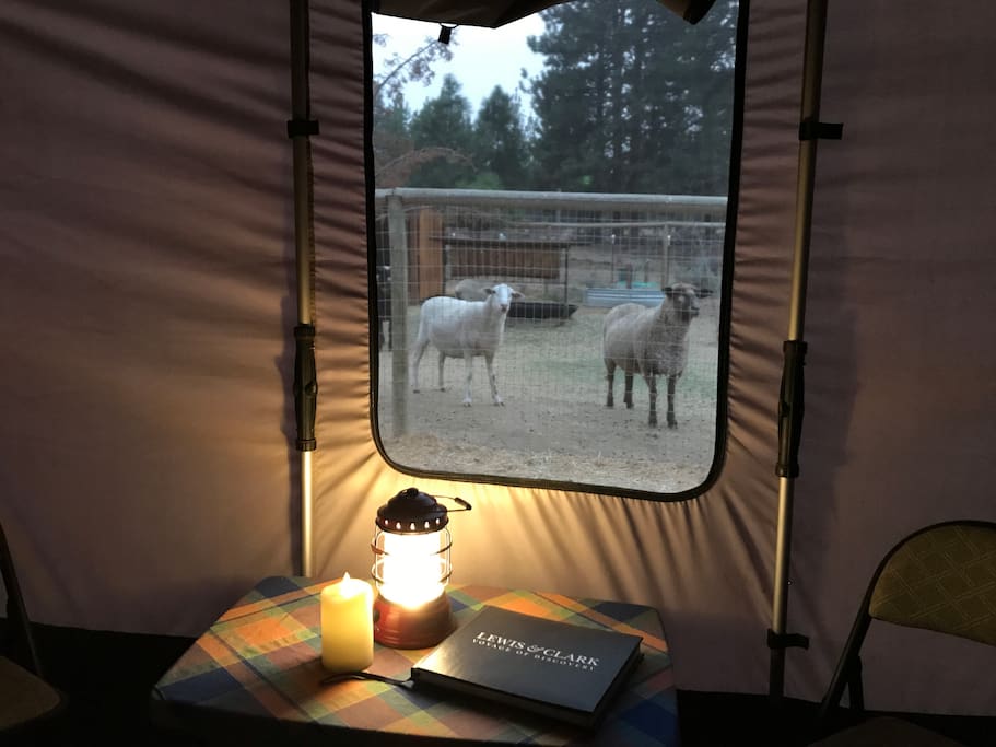 View from the tent