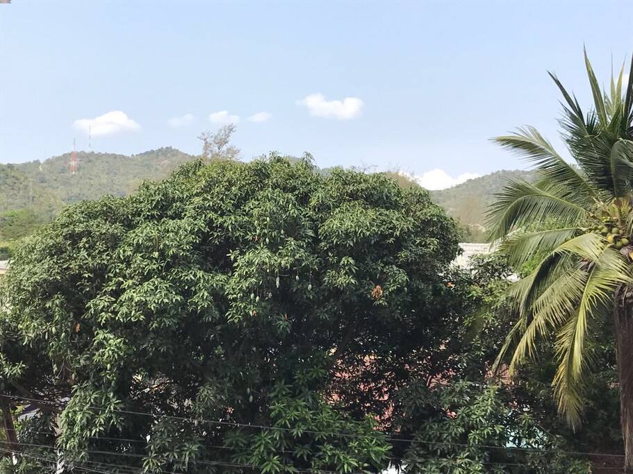 See the mountains from the balcony.