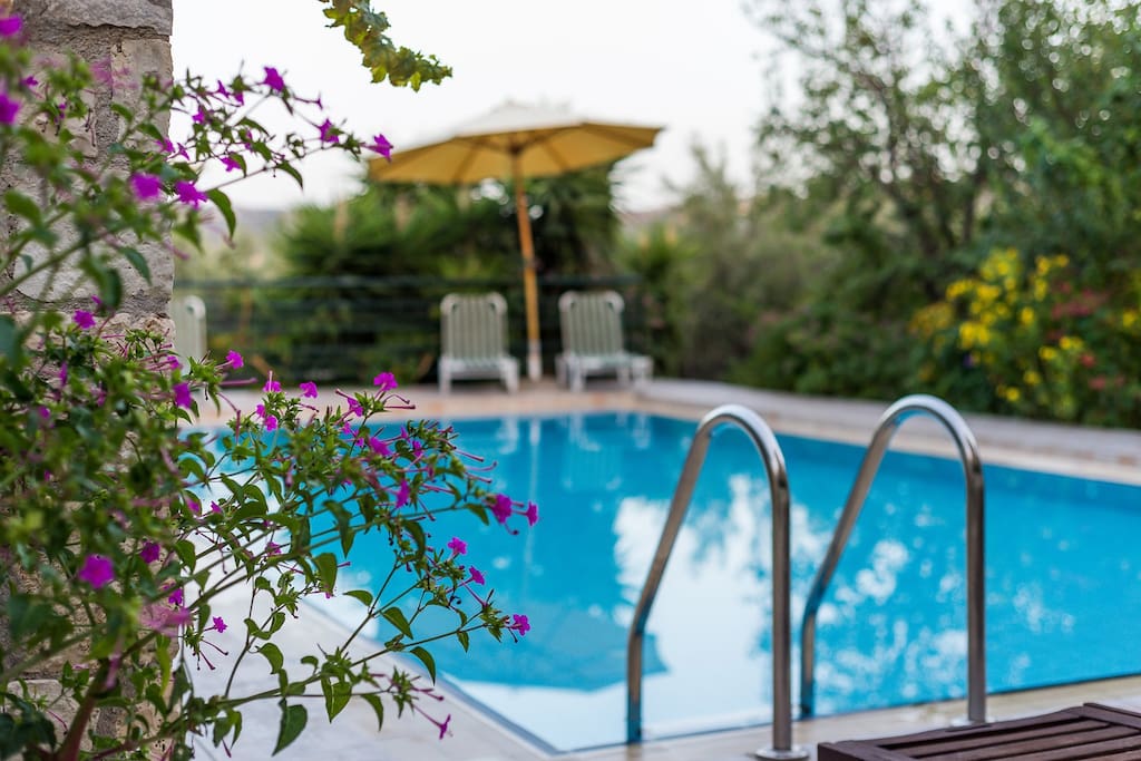 pool to share