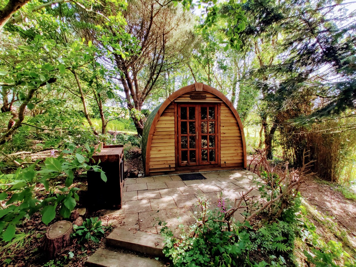 A wooden pod is nestled among lush greenery, featuring large glass doors that invite natural light. Stone pathways lead to the entrance, surrounded by a variety of plants and trees, creating a serene woodland atmosphere.