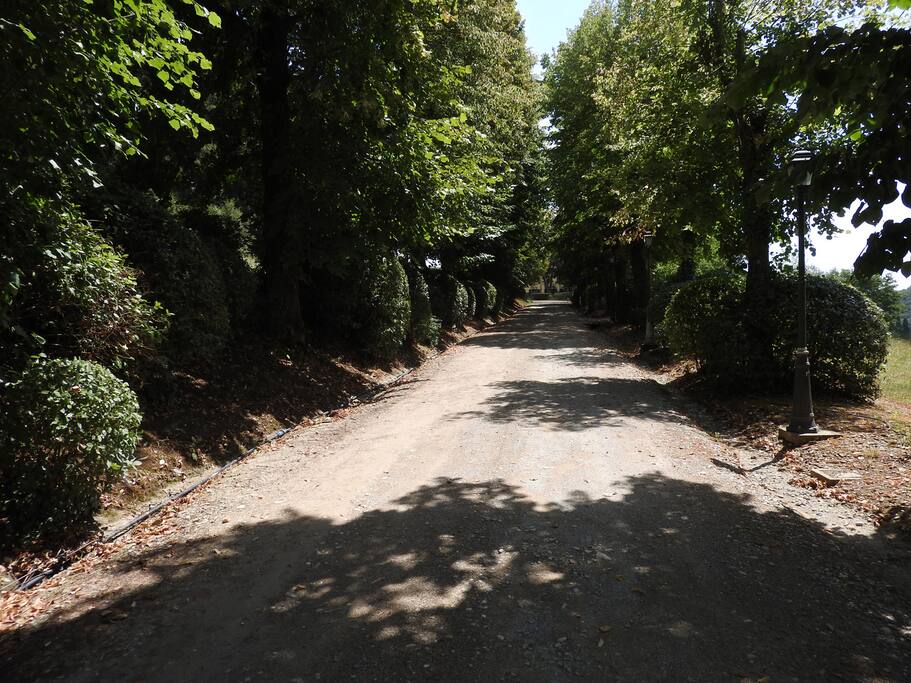 Path