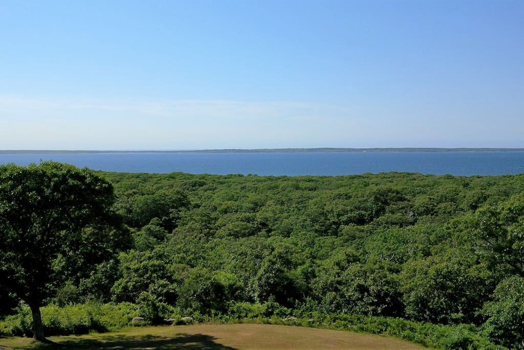 Panoramic Views