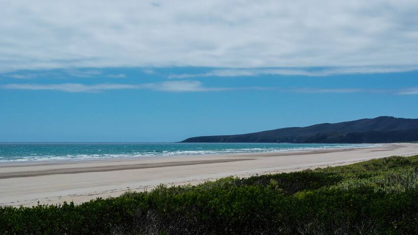 Bakers Beach homestead in Narawntapu National Park gallery image 2