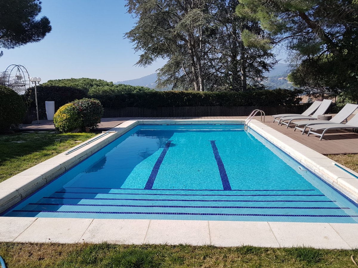 A serene swimming pool is surrounded by neatly maintained greenery and tall trees. Sun loungers are placed along one edge of the pool area, offering a comfortable space for relaxation. The pool features clear water with visible lane markings, reflecting the blue sky above.