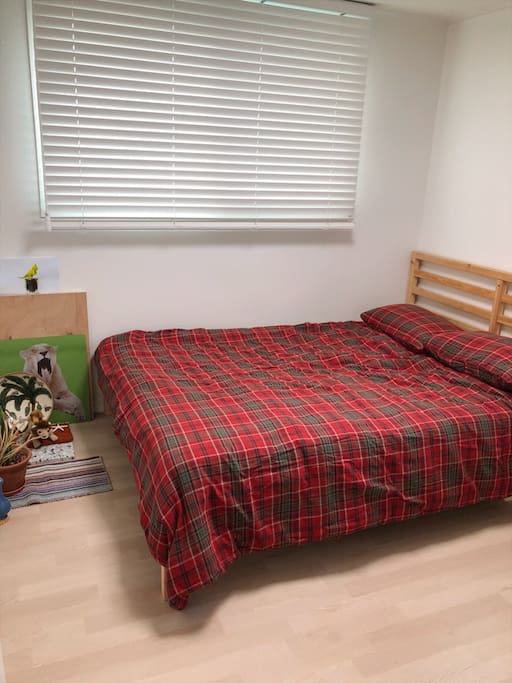 Bed room