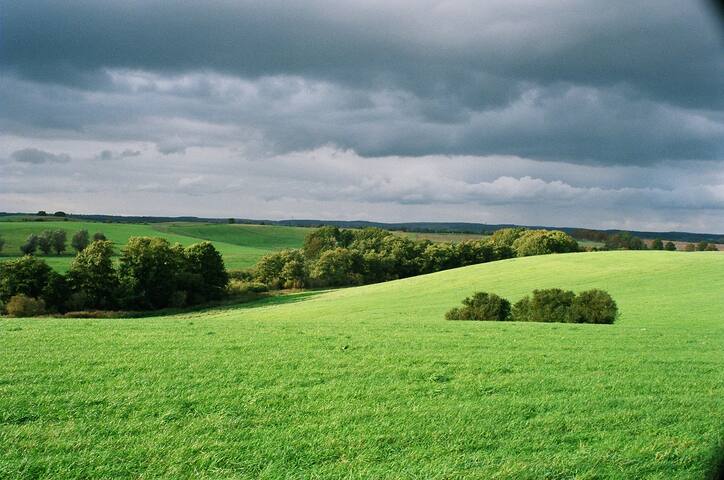 listing_image