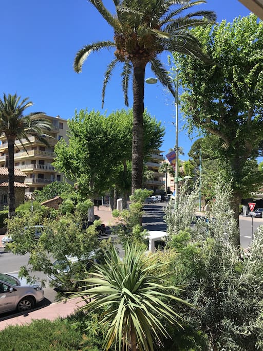 Vue verdure sur Axe principal vers Cannes