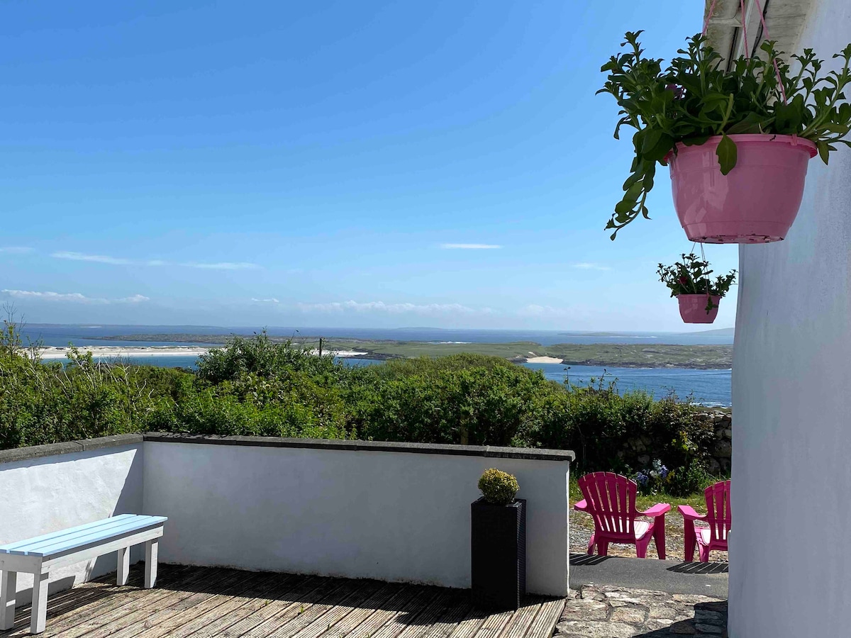 A deck area with wooden flooring overlooks a scenic view of the sea. Bright pink chairs are positioned for relaxation, while hanging planters add a touch of greenery. The landscape includes rolling hills and water, set against a clear blue sky.