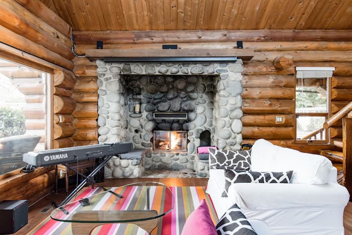 Spacious beachfront loghouse in the city